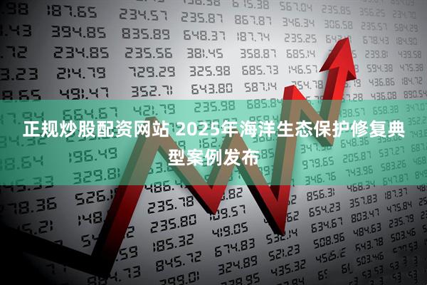 正规炒股配资网站 2025年海洋生态保护修复典型案例发布