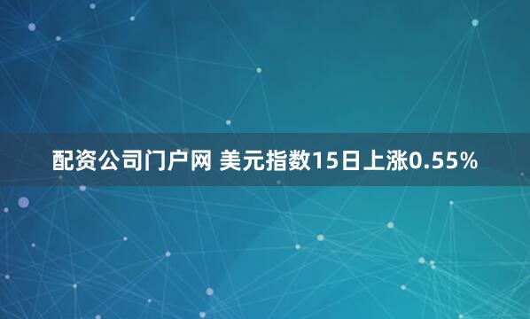 配资公司门户网 美元指数15日上涨0.55%